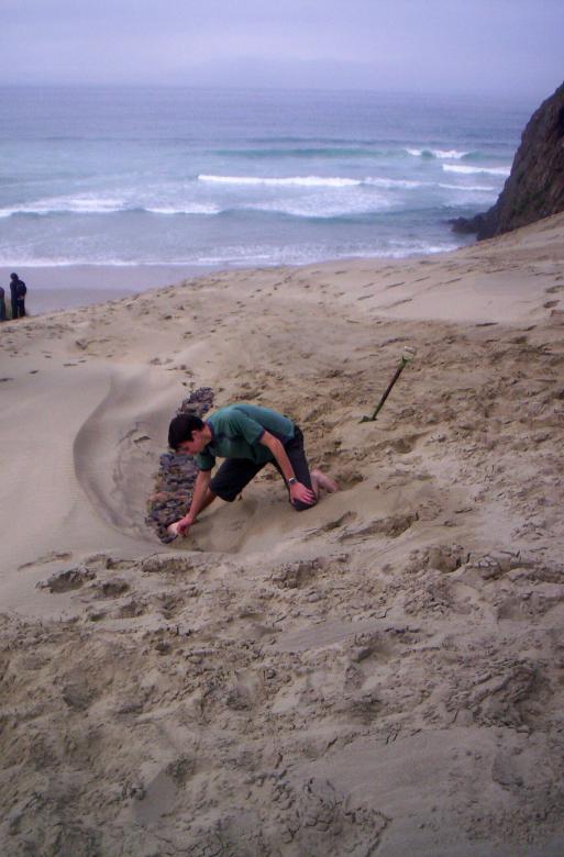 Free stock image of Footpath in the sand created by Peter Alexander Robb