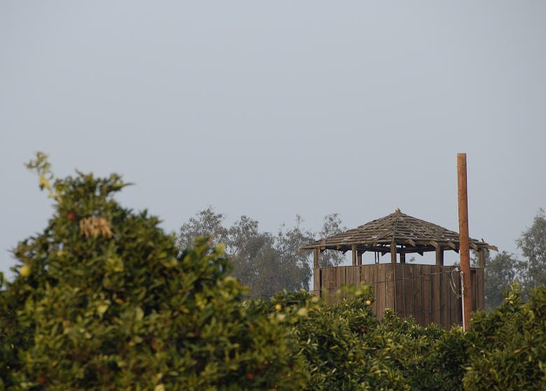 Free stock image of Tower in the Orange Grove created by bonnie l. mahaffey