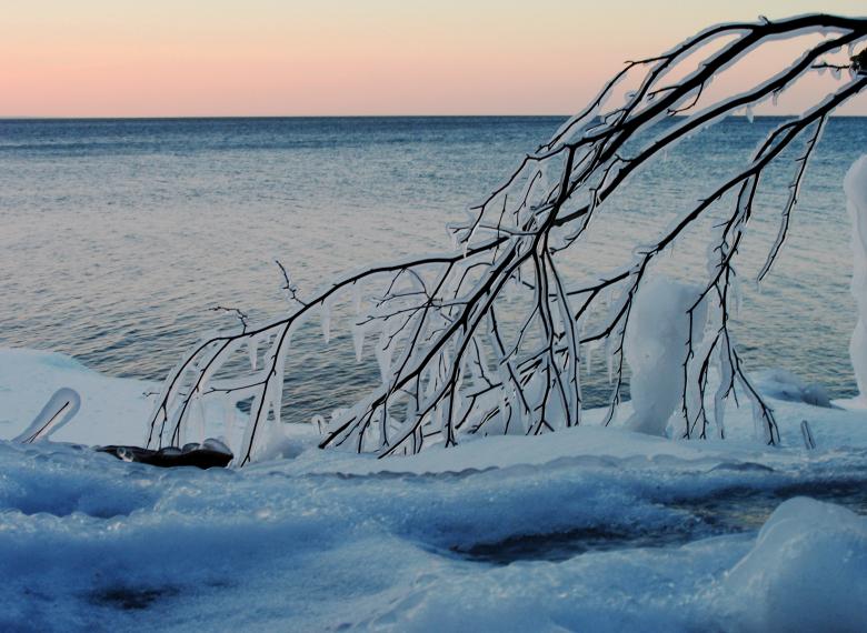 Free stock image of Icy Branch created by jeff wolf