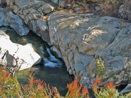 Free Stock Photo of Swimming Hole