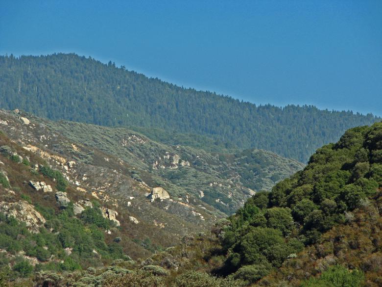Free stock image of Sierra Foothills created by bonnie l. mahaffey