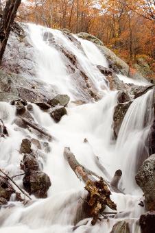Waterfall - Free Stock Photo