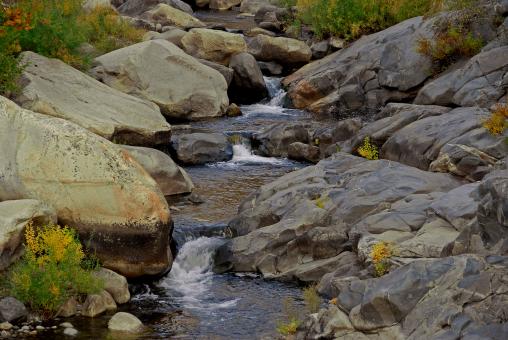 Free Stock Photo of Flowing in Elegance