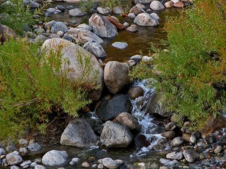 Peaceful River - Free Stock Photo