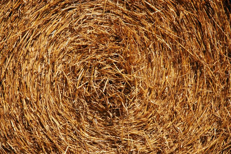 Free stock image of Hayroll created by j. hoek