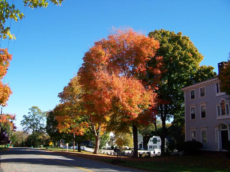 Free stock image of Old Main Street created by ralph lehmann