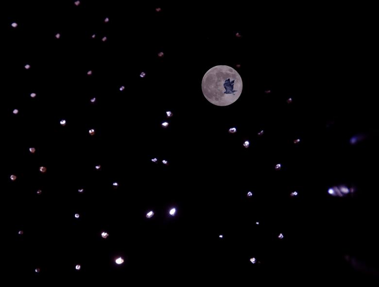 Free stock image of Space Hawk created by j. l. johnson