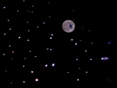 Space Hawk - Free Stock Photo