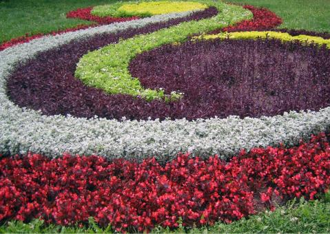 A flower garden - Free Stock Photo