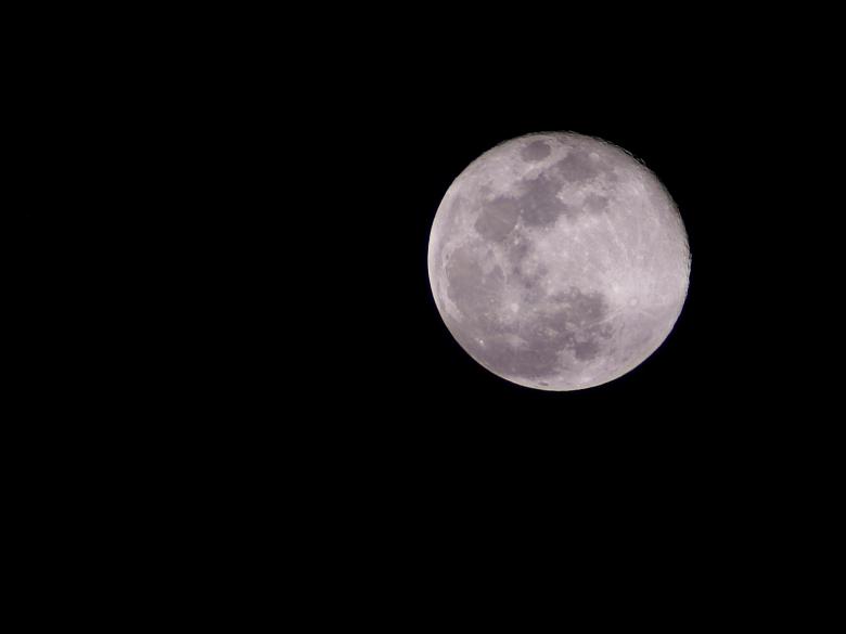 Free stock image of November moon created by homer anthony medici