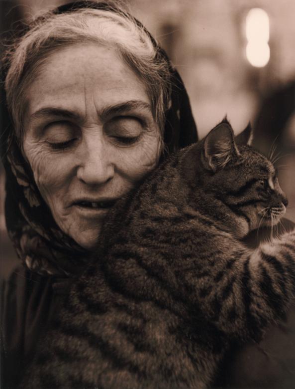 Free stock image of Tenderness created by denis l. pogostin