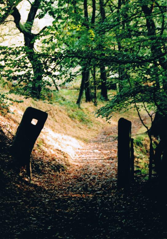 Free stock image of Gate way to heaven! created by neil heslop
