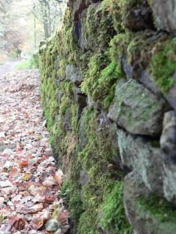 Walled - Free Stock Photo