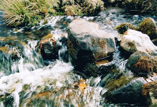 Rocky - Free Stock Photo