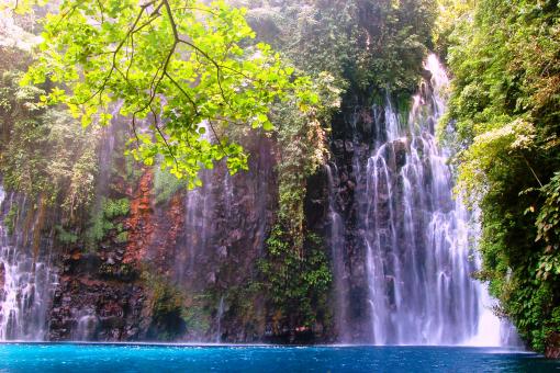 Nature Springs - Free Stock Photo