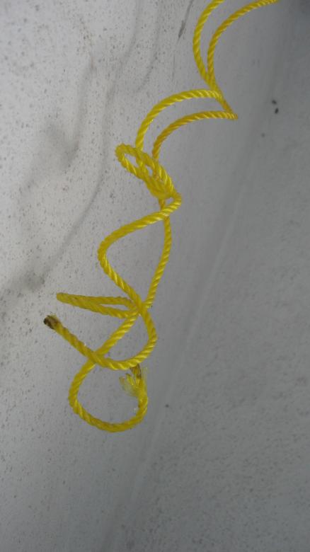 Free stock image of Strings created by mehul bhanti