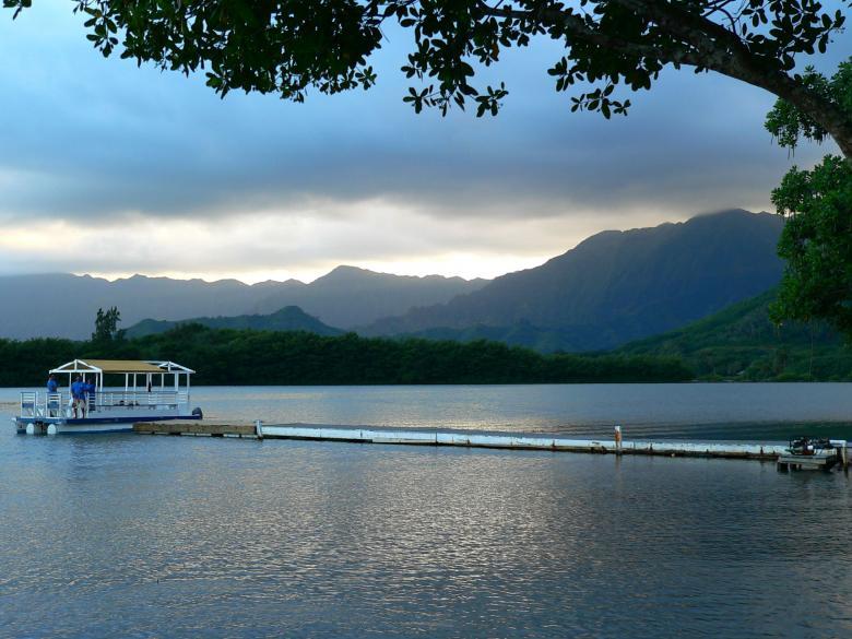 Free stock image of Hawaiian Memory created by vanessa latrimurti