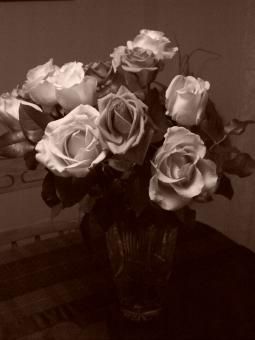 Birthday Roses - Free Stock Photo