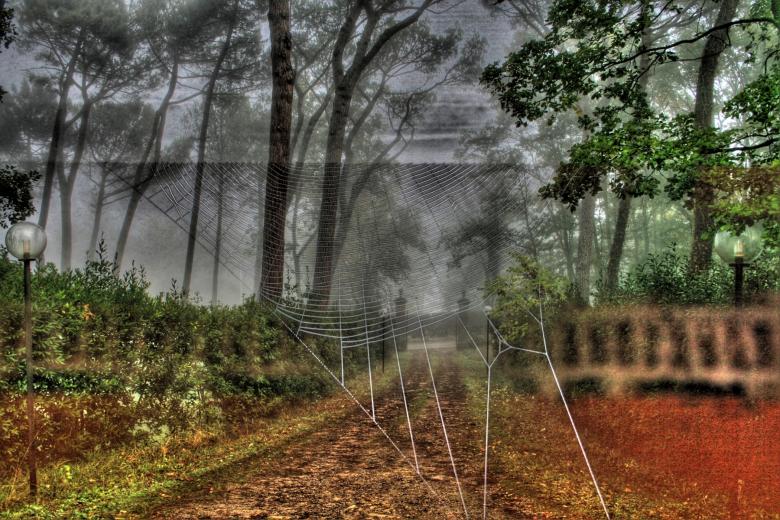 Free stock image of Fog in the morning created by virgilio ferrini