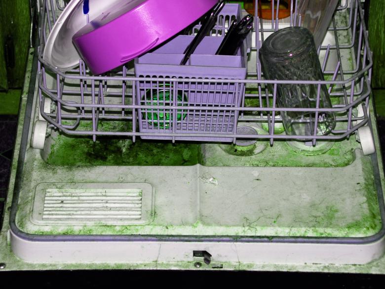 Free stock image of Disgusting Dishwasher in Abandoned Proje created by bonnie l. mahaffey