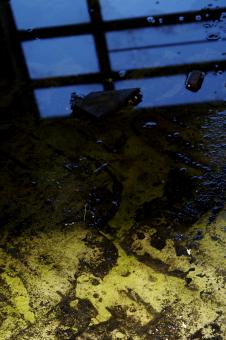 Wet floor - Free Stock Photo