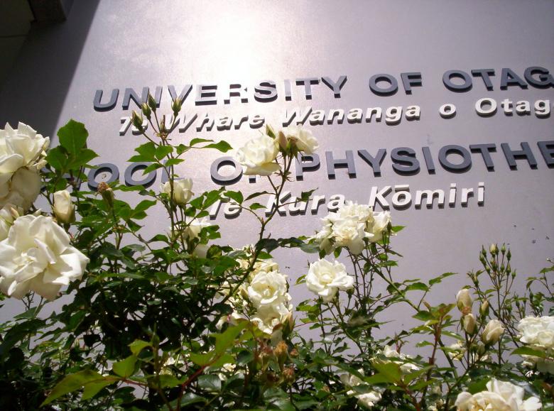 Free stock image of White Roses Institutionally Overshadowed created by Peter Alexander Robb