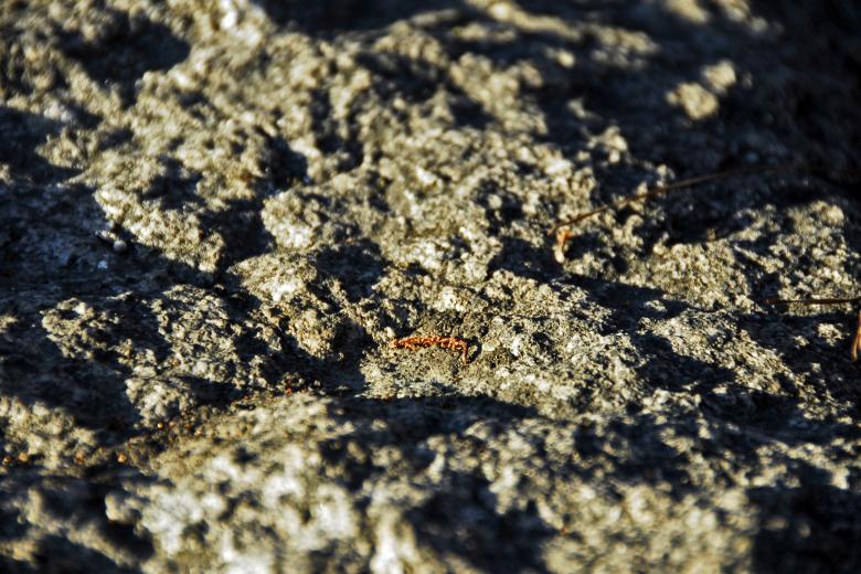 Free stock image of Landscape of the Boulder at Sundown created by j. l. johnson