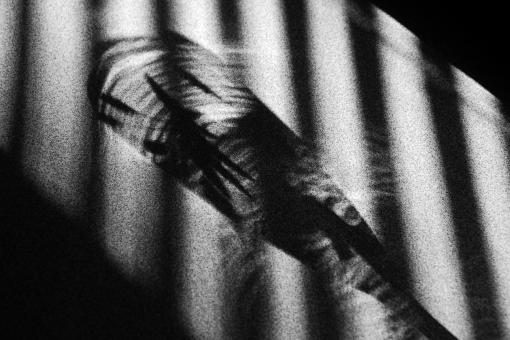 Free Stock Photo of Study on Shadows in Black & White on
