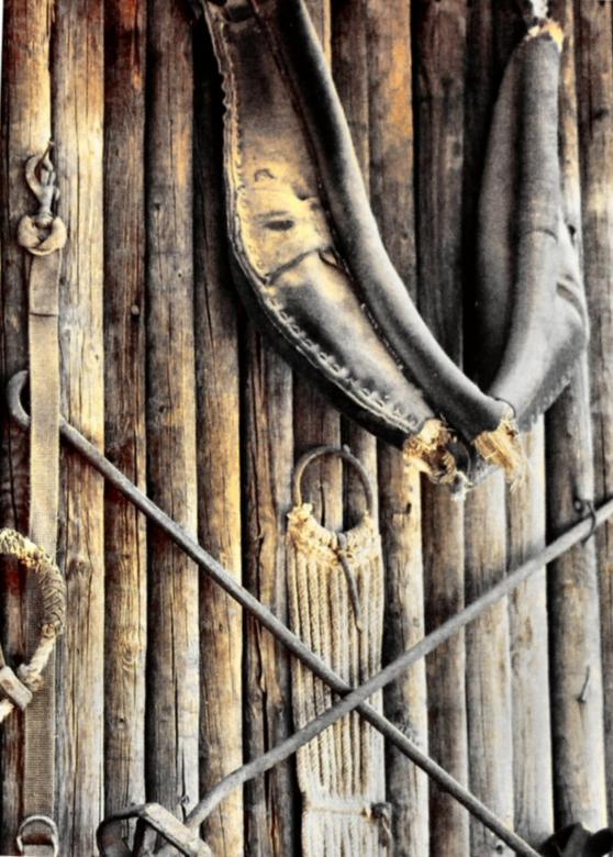 Free stock image of Rustic created by jennifer driggers