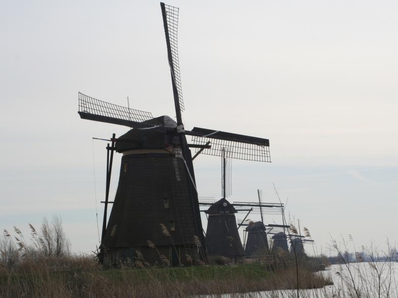 Free stock image of The Kinderdijk created by william hughes