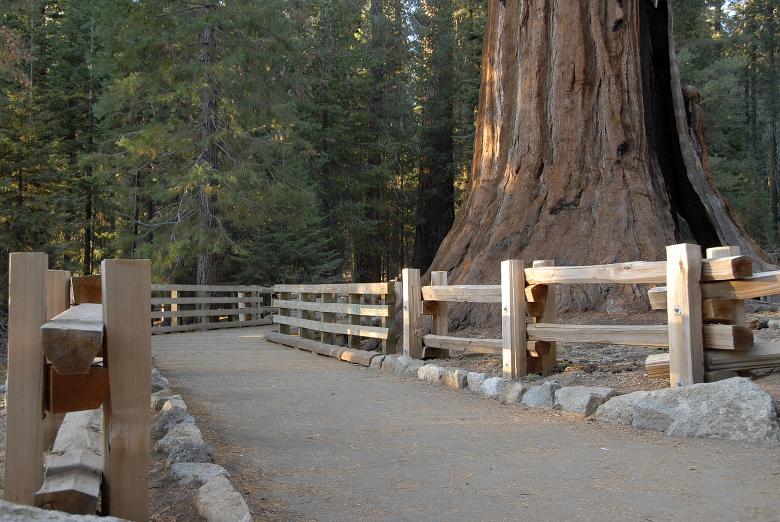 Free stock image of General Sherman Tree Path in Sequoia Nat created by j. l. johnson