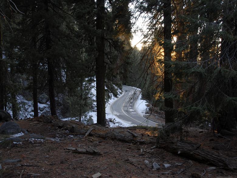 Free stock image of Road in Sequoia National Park created by j. l. johnson
