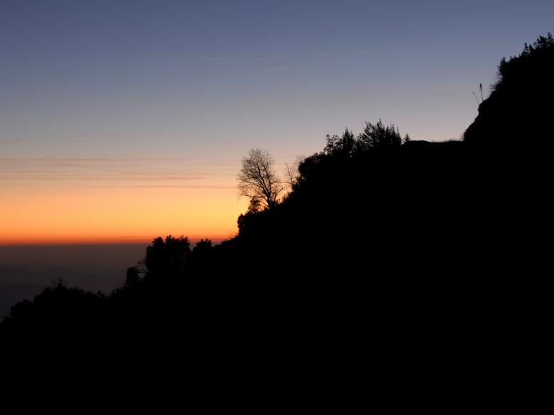 Free stock image of Tree at Dusk in Sequoia National Park (I created by j. l. johnson