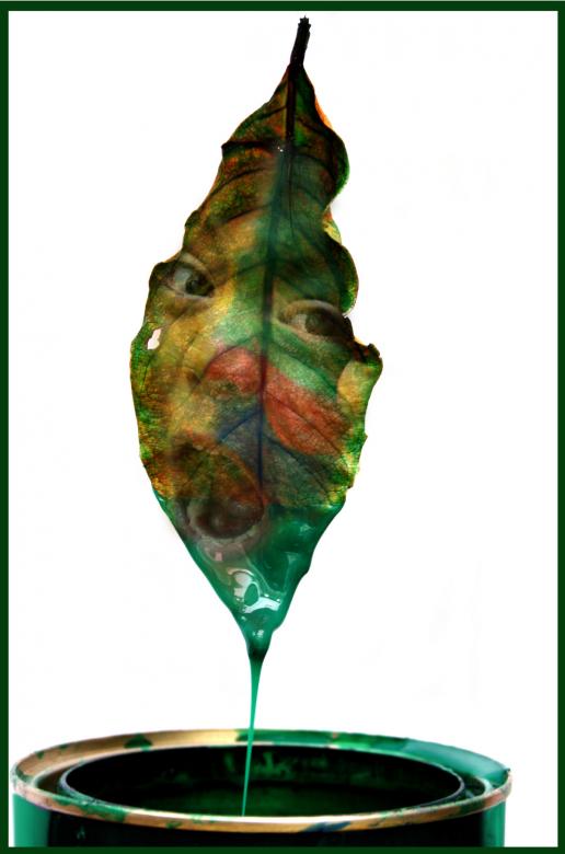 Free stock image of The Leaf created by edwin s. loyola