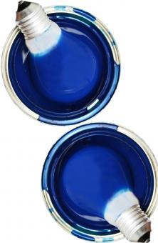 Blue - Free Stock Photo