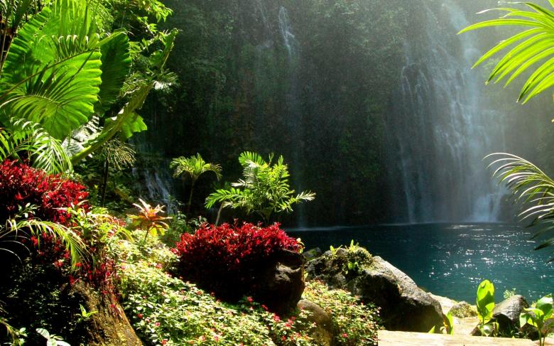 Free stock image of Watered garden created by requel legaspino