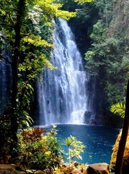 Waterfalls - Free Stock Photo
