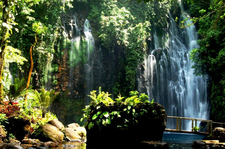 Free stock image of Edenic Beauty created by requel legaspino