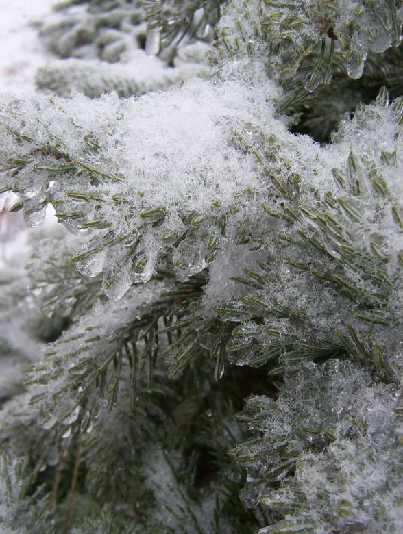 Free stock image of Snow created by anthony essmaker