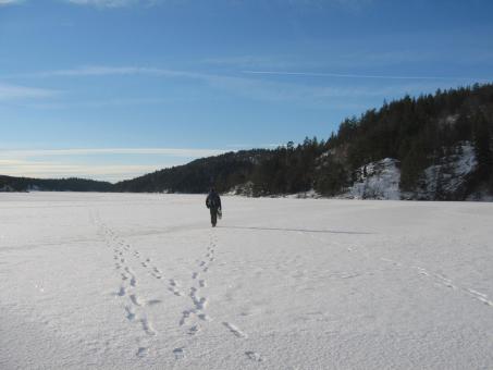 Walking on ice - Free Stock Photo