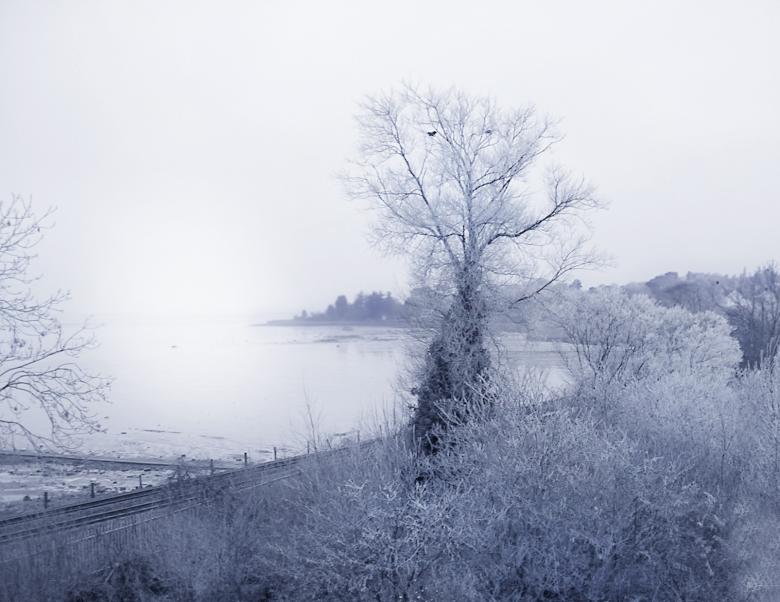 Free stock image of Winter created by maciej lewandowski