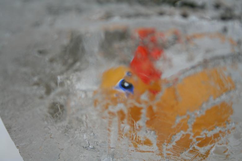 Free stock image of Frozen toy created by christian taylor hauschild