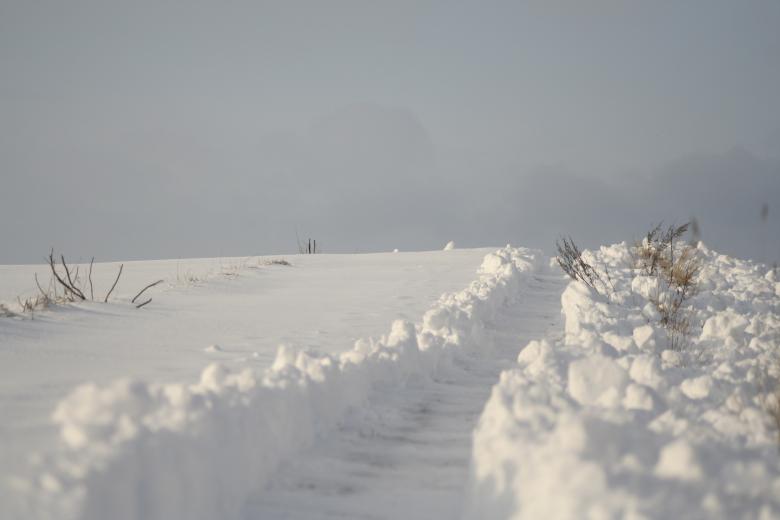 Free stock image of Path in the snow created by christian taylor hauschild