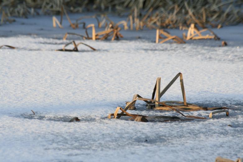 Free stock image of Frozen pond created by christian taylor hauschild