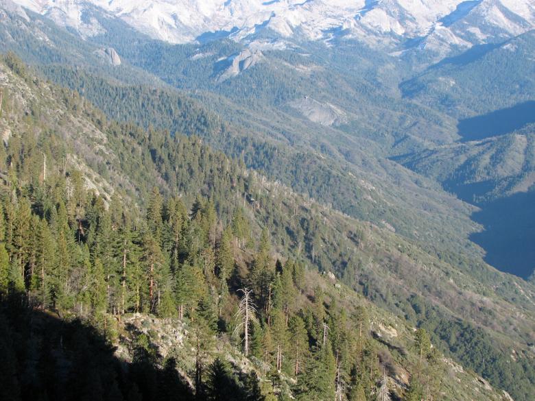 Free stock image of Down the Valley created by bonnie l. mahaffey