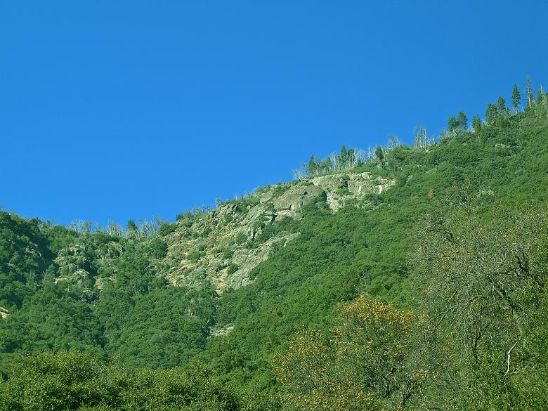 Free stock image of Green Hillside created by bonnie l. mahaffey
