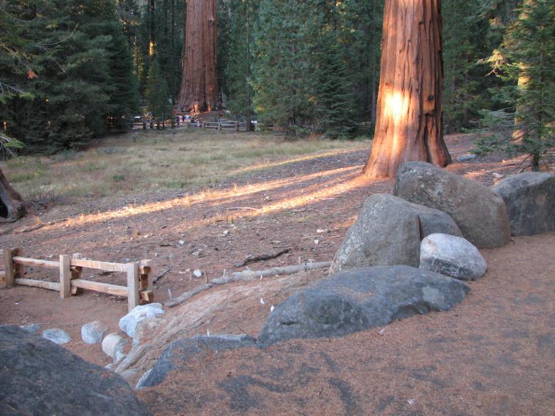 Free stock image of Redwood Meadow created by bonnie l. mahaffey