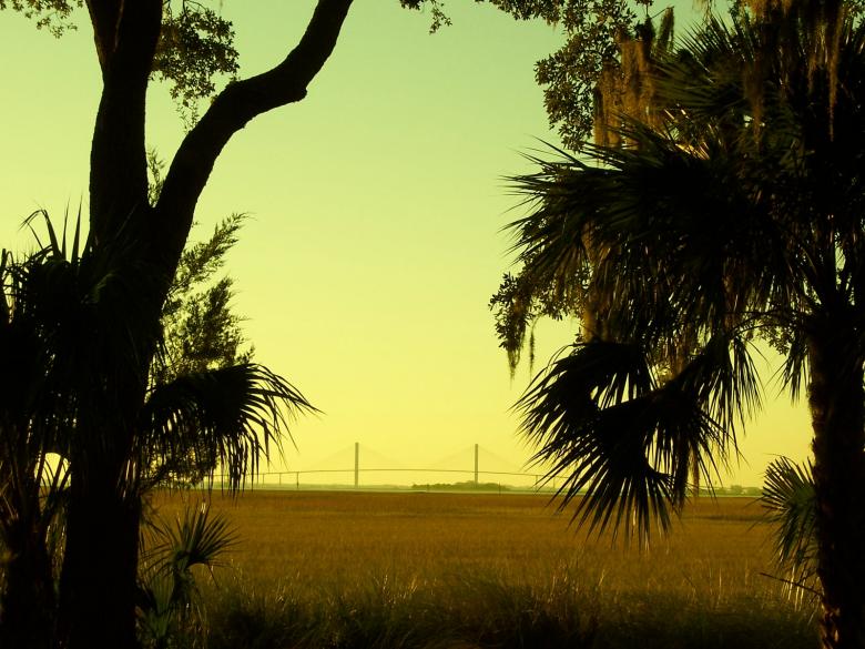 Free stock image of Sunset created by julia koehler