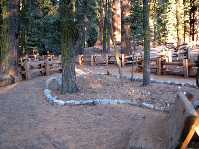 Free stock image of Wooden Bench in the Forest created by bonnie l. mahaffey