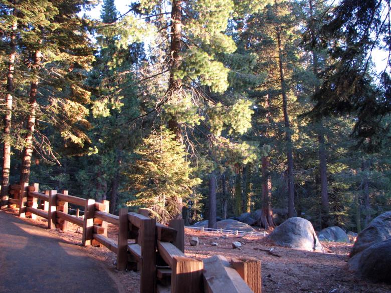 Free stock image of Wooden Fence in Forest created by bonnie l. mahaffey